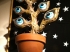 Eye Plant